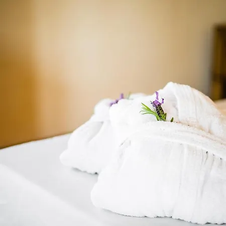 Lh Pozzo Sacro Olbia