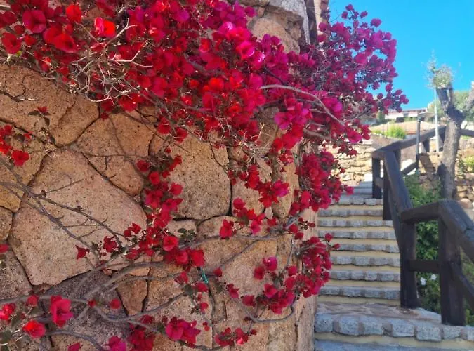 Lh Pozzo Sacro Olbia