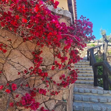 Lh Pozzo Sacro Olbia